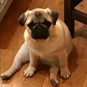 Meet your Posher, Tricia